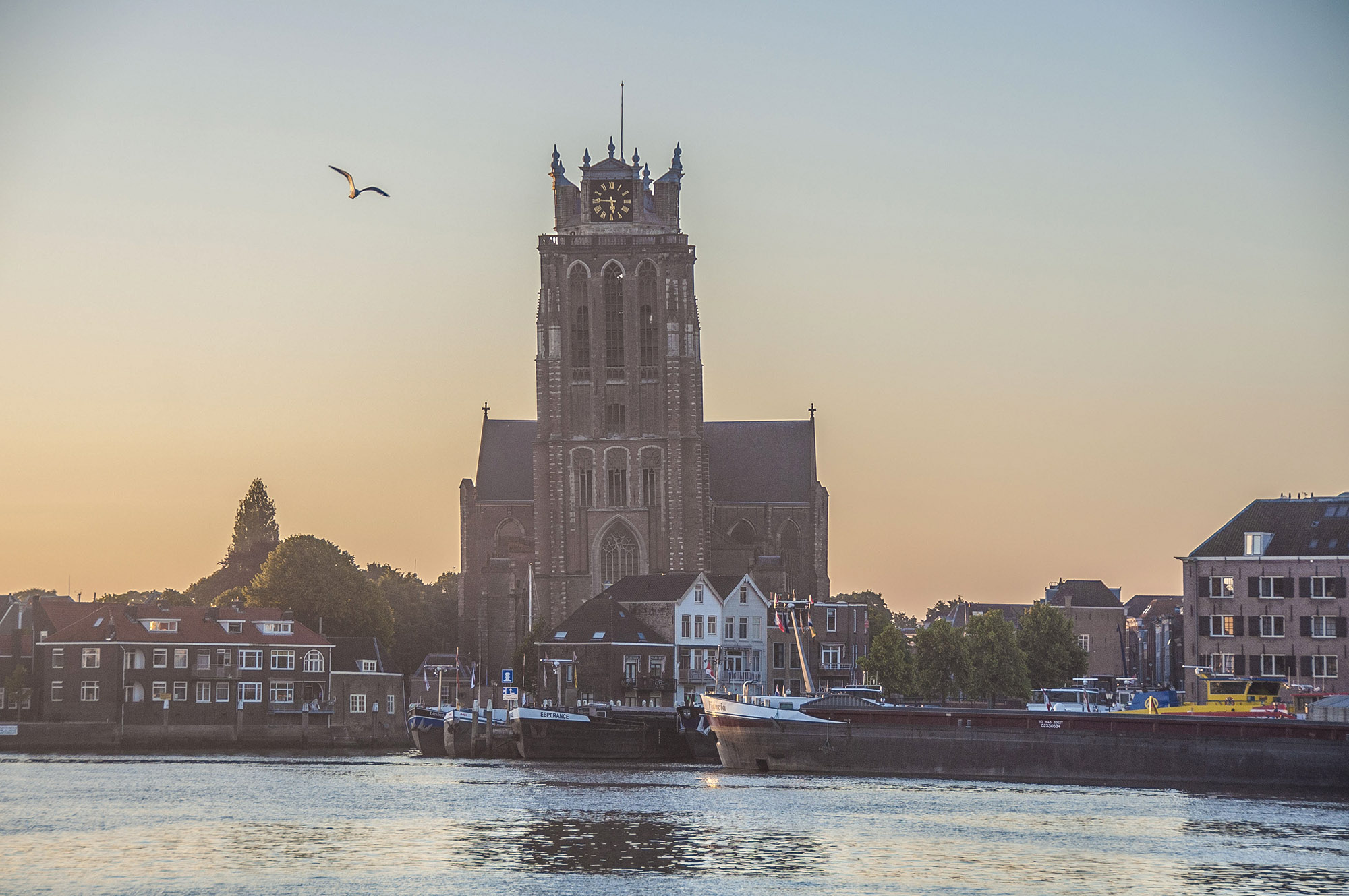 Dordrecht vanaf Zwijndrecht - 14 juni 2017